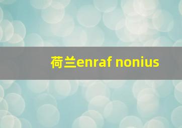 荷兰enraf nonius